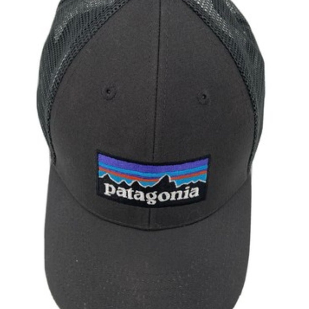 Patagonia Black/grey Cap with Purple and Blue Mountain Logo